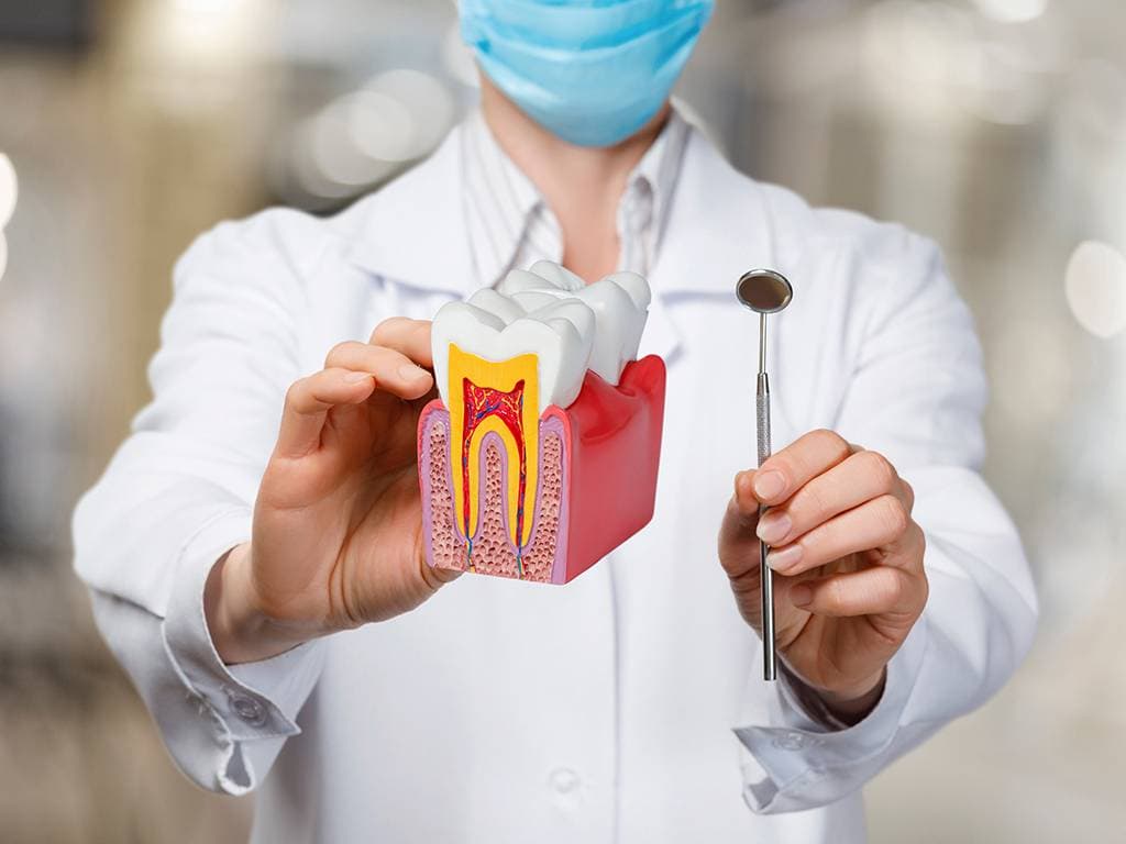 Top Root Canal Myths Debunked